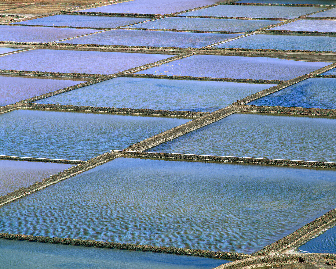 Biosphere Reserve. Salinas de Janubio. Lanzarote. Canary Islands, Spain.