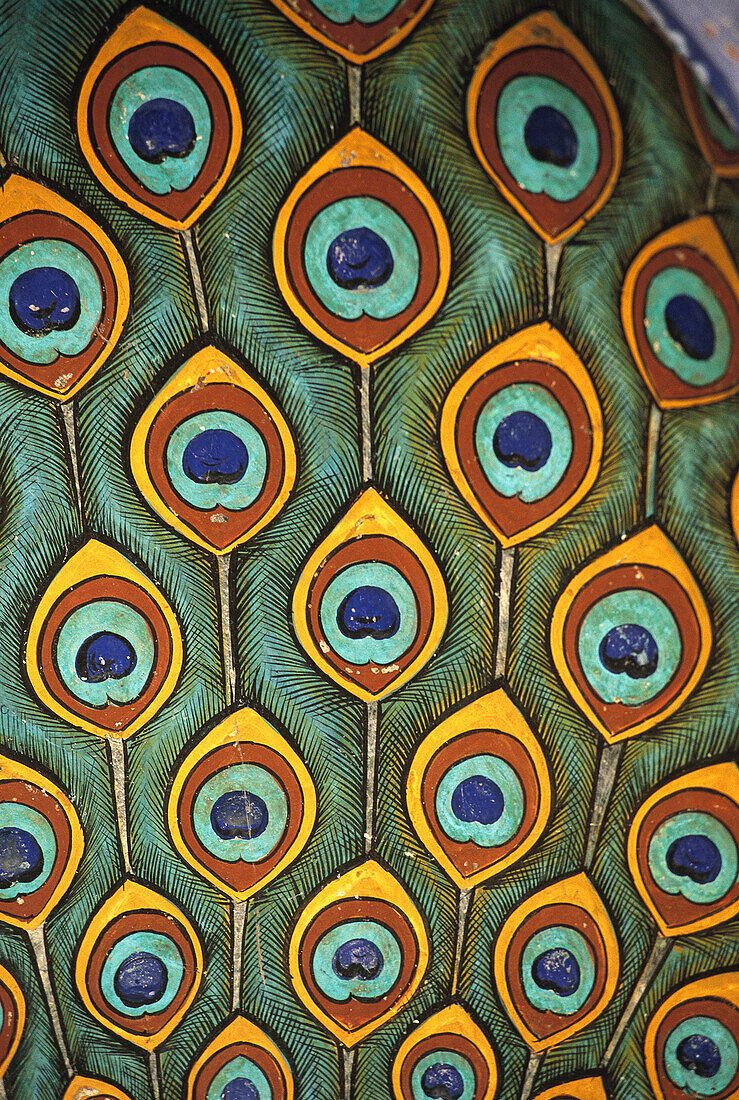 Painted peacock feathers. City Palace. Jaipur. Rajasthan. India