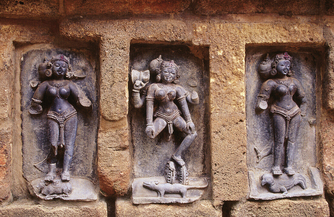 64 Yoginis Temple at Hirapur. Orissa. India