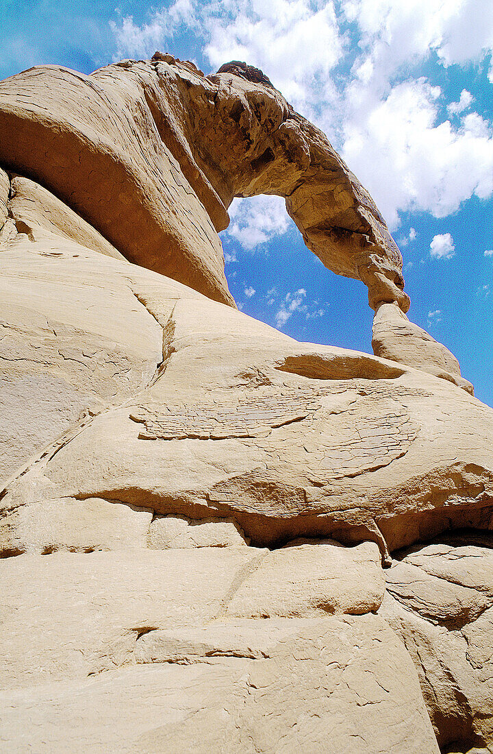 Delicate Arch seen from below. Arches National Park. Utah. USA