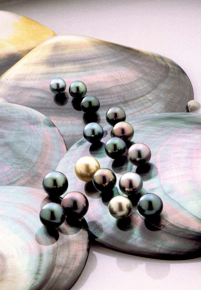 Black pearls of Mr. Robert Wan s private collection. French Polynesia