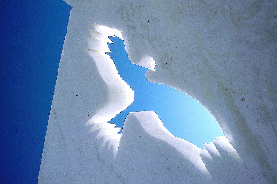 Flying bird carved in snow