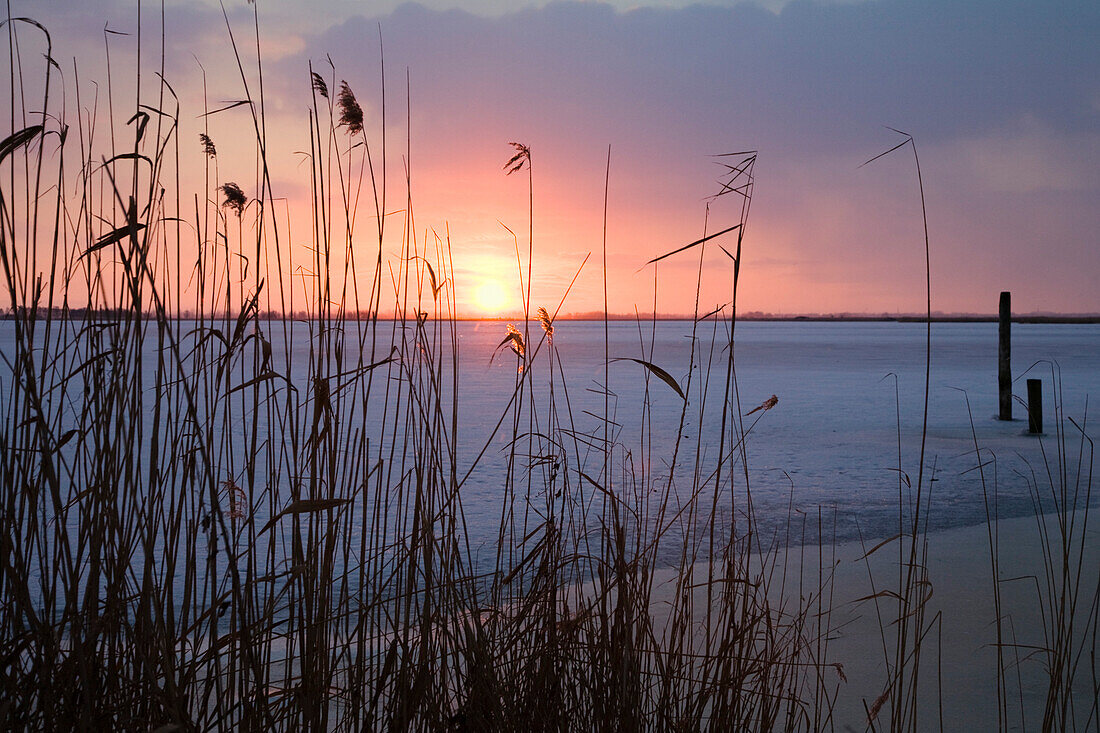 Sonnenuntergang auf Usedom im Winter, Mecklenburg-Vorpommern, Deutschland