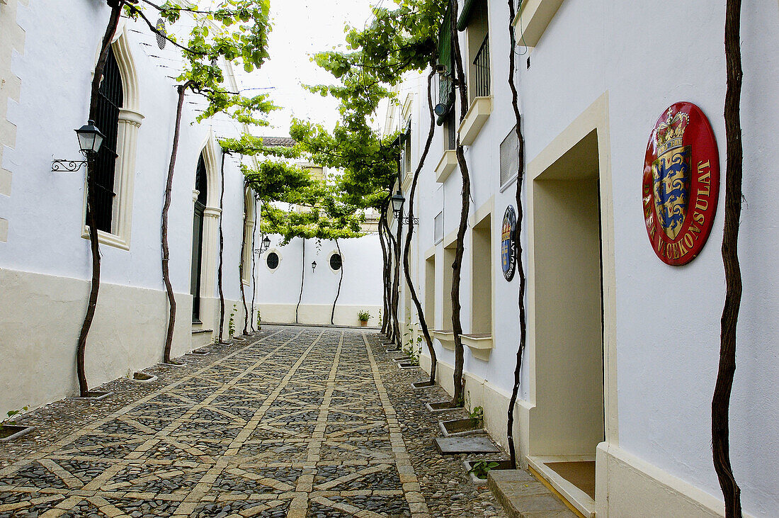 Gonzales Byass cellars, makers of Tio Pepe fino. City of Jerez de la Frontera. Andalucia. Spain