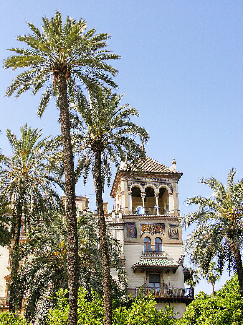 Hotel Alfonso XIII. City of Sevilla. Andalucia. Spain