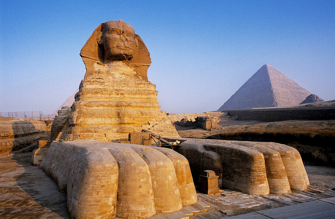 The sphinx in the pyramids area. Gizeh (Cairo suburbs). Egypt