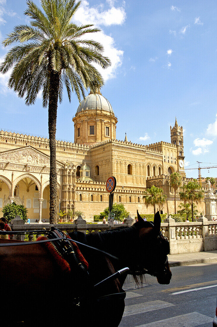 The cathedral (duomo). Palermo, main city of Sicily. Italy