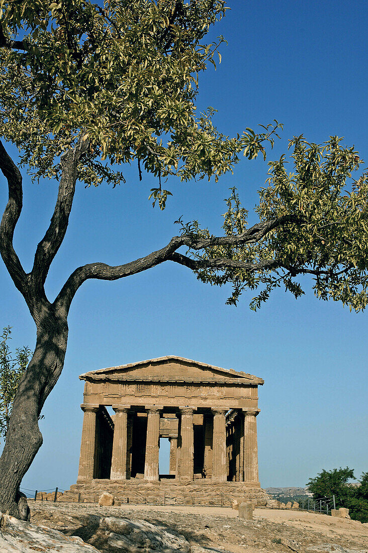 Temple of Concorde built 5th century AD in classical doric style, considered as the greek temple in best condition in the world. Agrigente. Sicily. Italy.