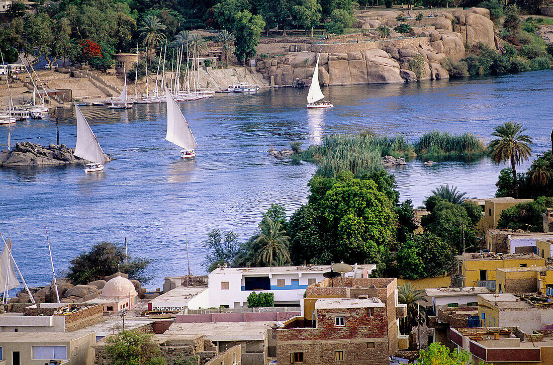 River Nile in Aswan. Nubia. Egypt