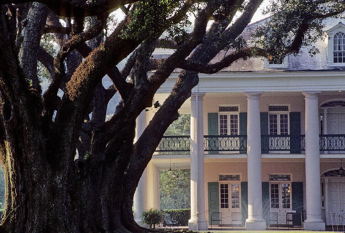 Oak Alley Plantation. Vacherie. Louisiana. USA