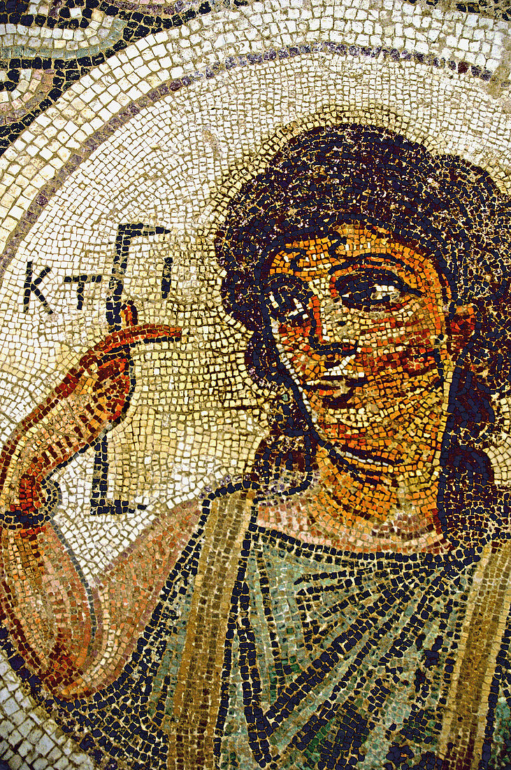 Roman mosaic at Kourion archeological site. Cyprus
