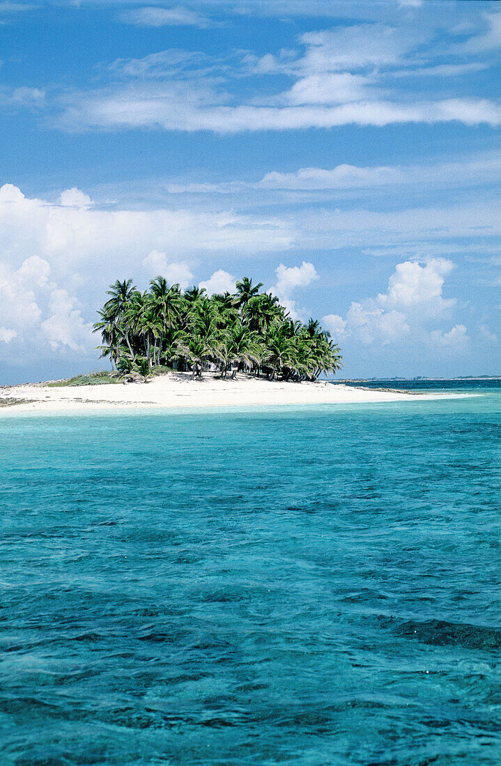 Gillingham islet beach. Nassau, Providence island. Bahamas, Caribbean