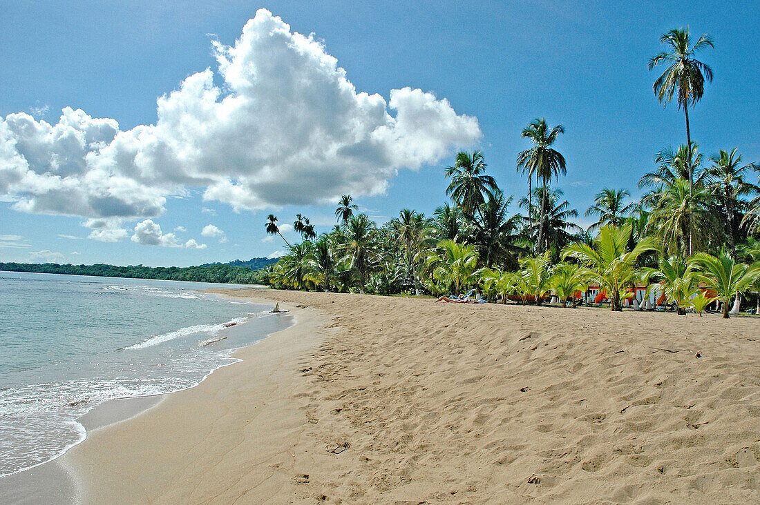 Beach, Caribbean coast. Costa Rica