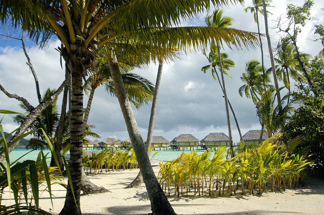 Pearl Beach Hotel resort (member of Relais & Chateaux chain). Tahaa island. French Polynesia. South Pacific.