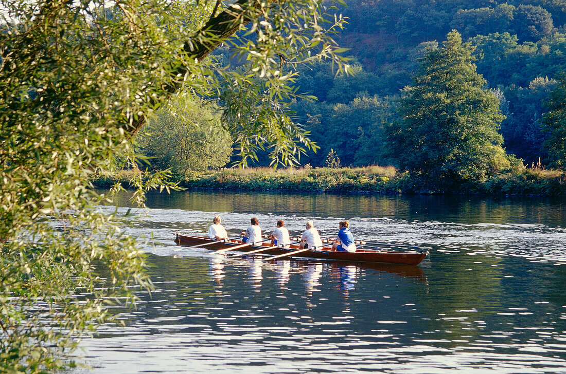 Rowing boat, coxed four, Herdecke, Ruhr Valley, Ruhr, Northrhine Westphalia, Germany