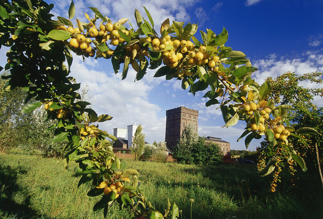 Malakoff tower, Zeche Hannover, Bochum, Ruhr Valley, Ruhr, Northrhine, Westphalia, Germany