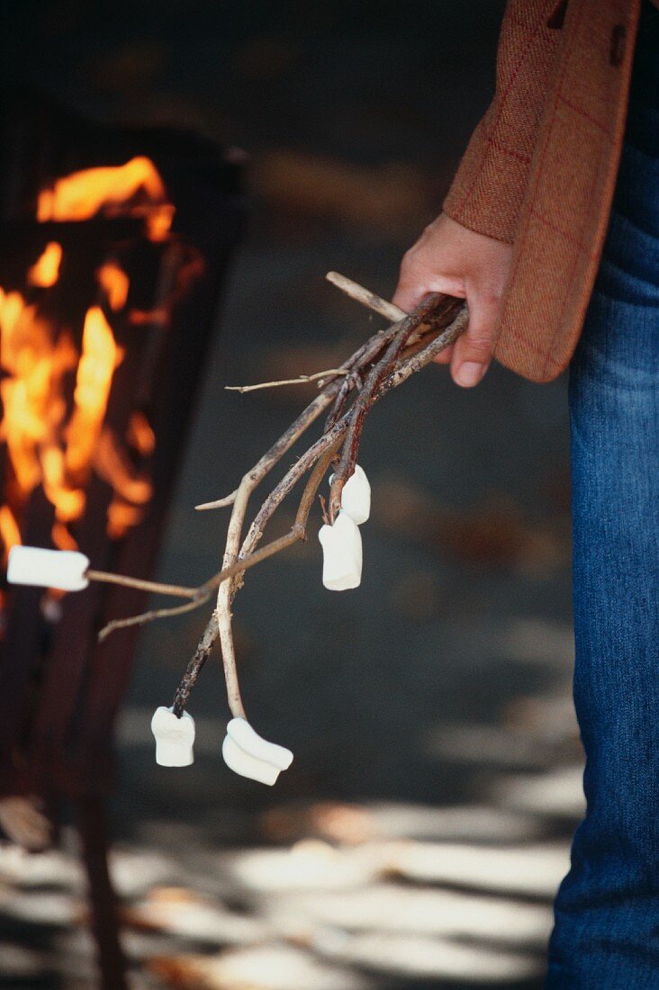 Marshmallows auf dünnen Ästen