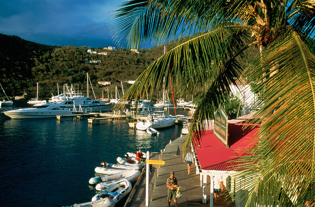 Tortola marina. British Virgin Islands. West Indies. Caribbean