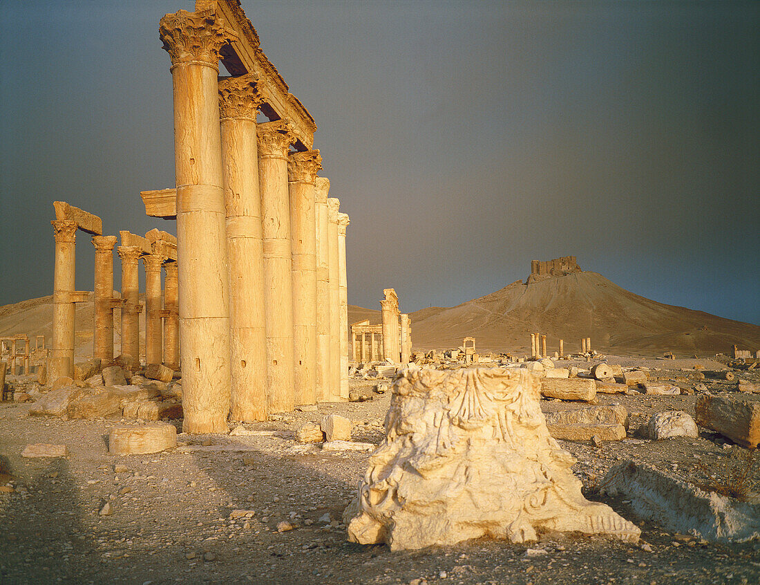 Ruins of the Main Street, before a sandstorm. Palmyra. Syria