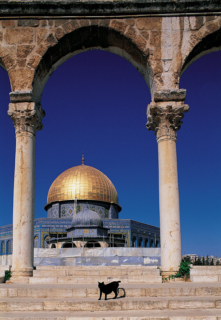 Dome of the Rock and black cat. Jerusalem. Israel