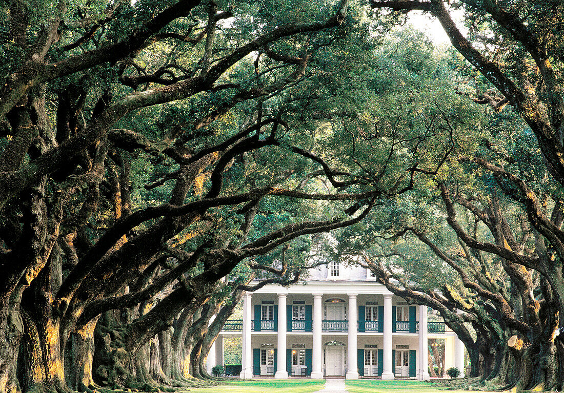 Oak Alley Plantation. Vacherie. Louisiana. USA