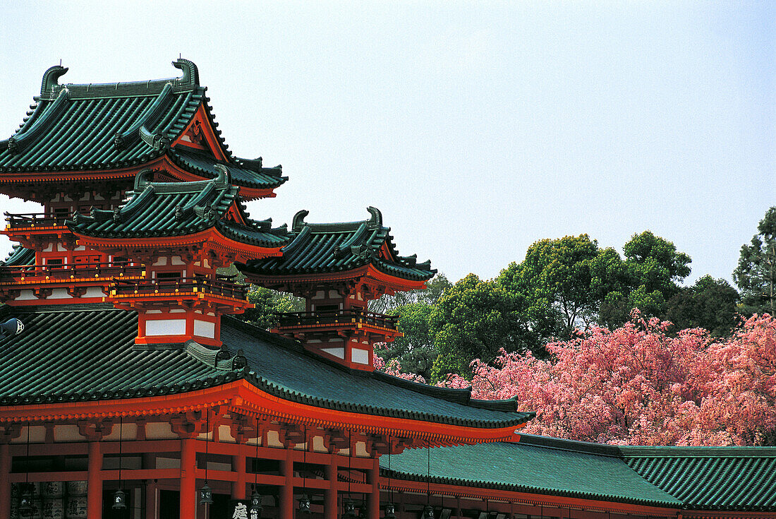Heian Shrine tile roofs at spring. Sherry blossoms. Kyoto. Japan