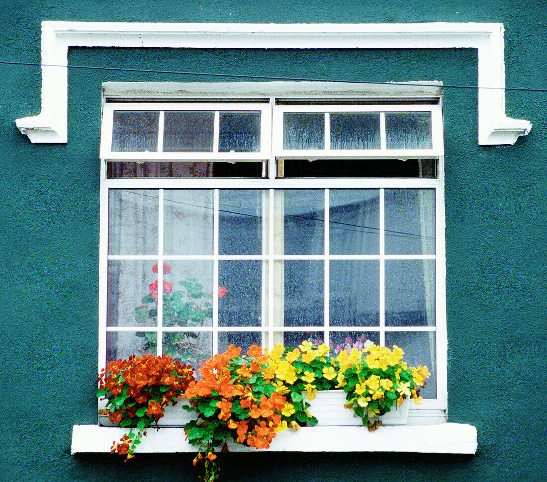 Window. Clifden. Connemara. Ireland
