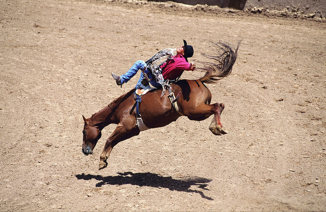 Rodeo at Intertribal ceremonial. New Mexico. USA