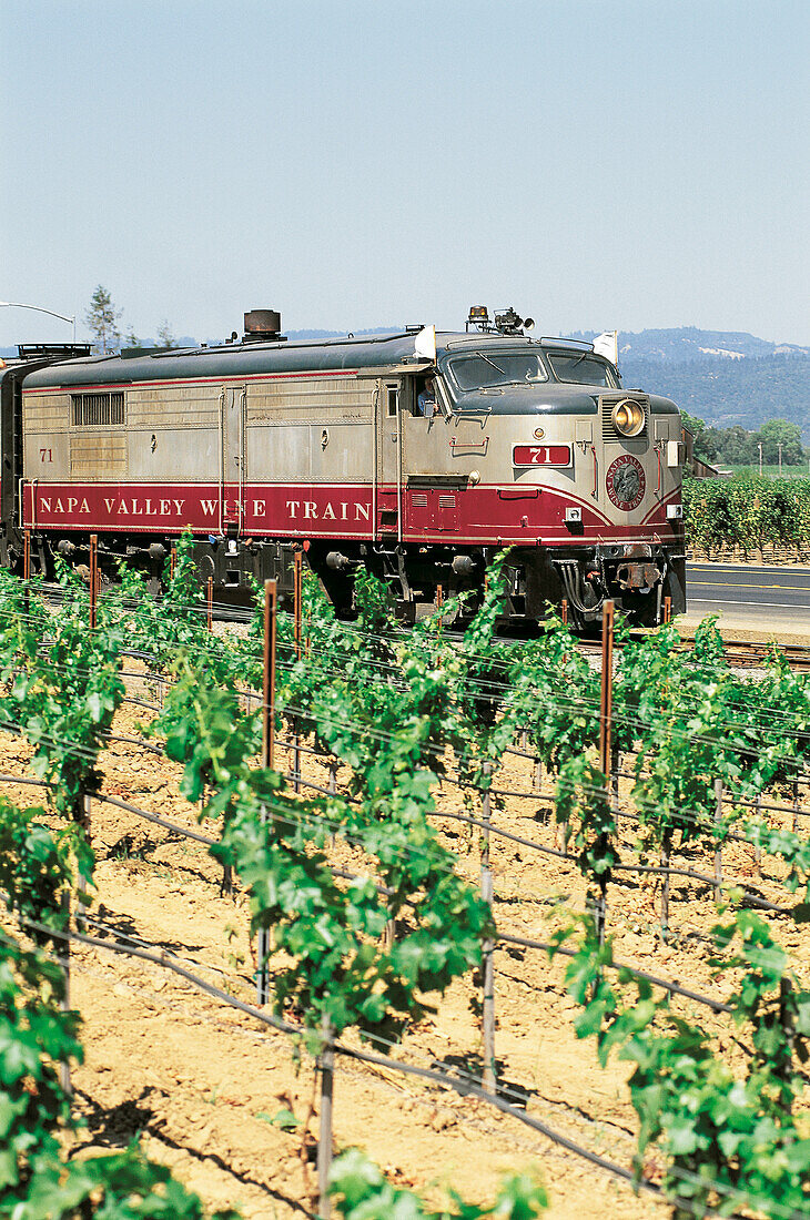 The Napa Railway. Napa Valley. California. USA