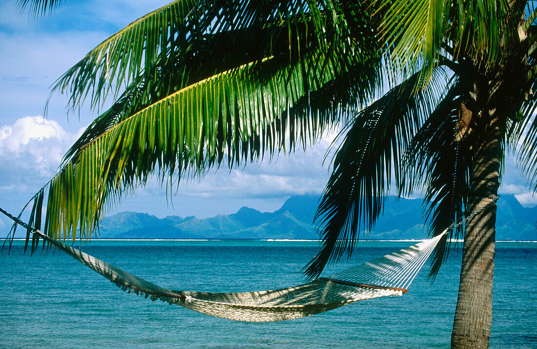 Moorea Island seen from Tahiti. Hammock & palme at fore. French Polynesia