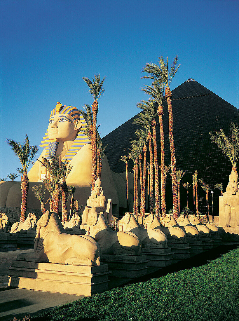 Sphinxes alley at Luxor resort entrance. Las Vegas. Nevada. USA