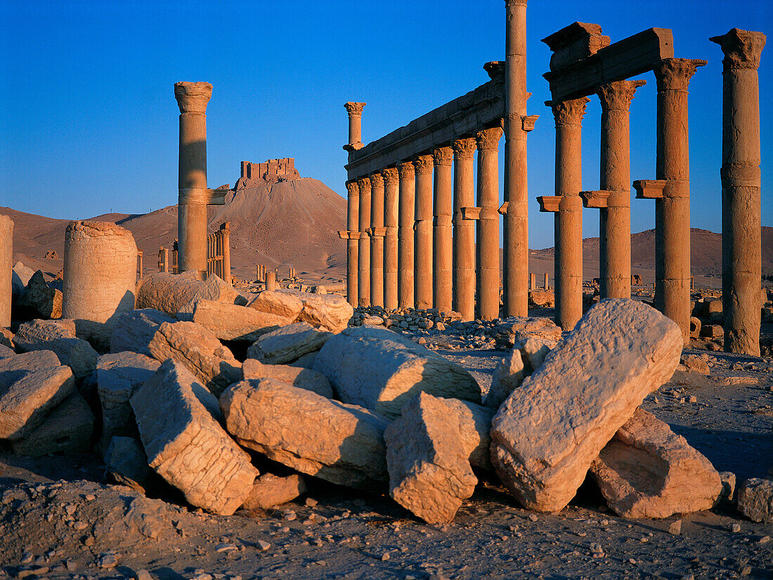 Ruins of the old Greco-roman city of Palmira at sunrise. Syria
