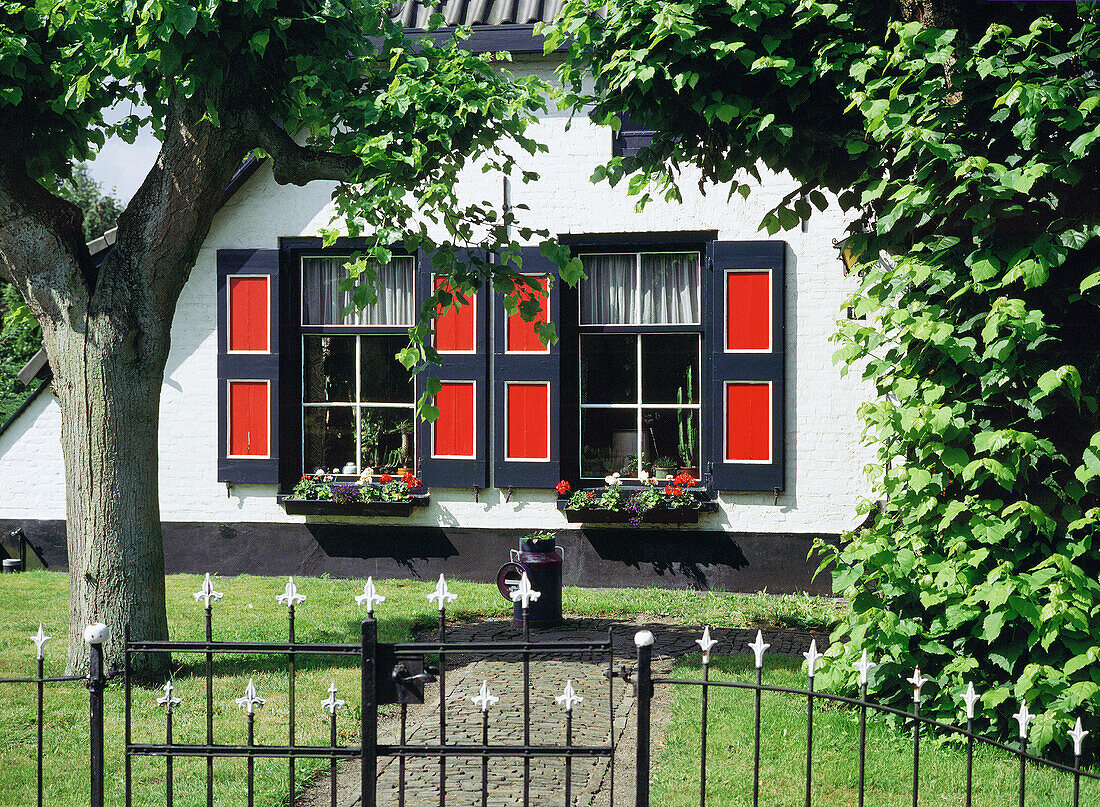 Country house windows and garden. Rotterdam. Holland