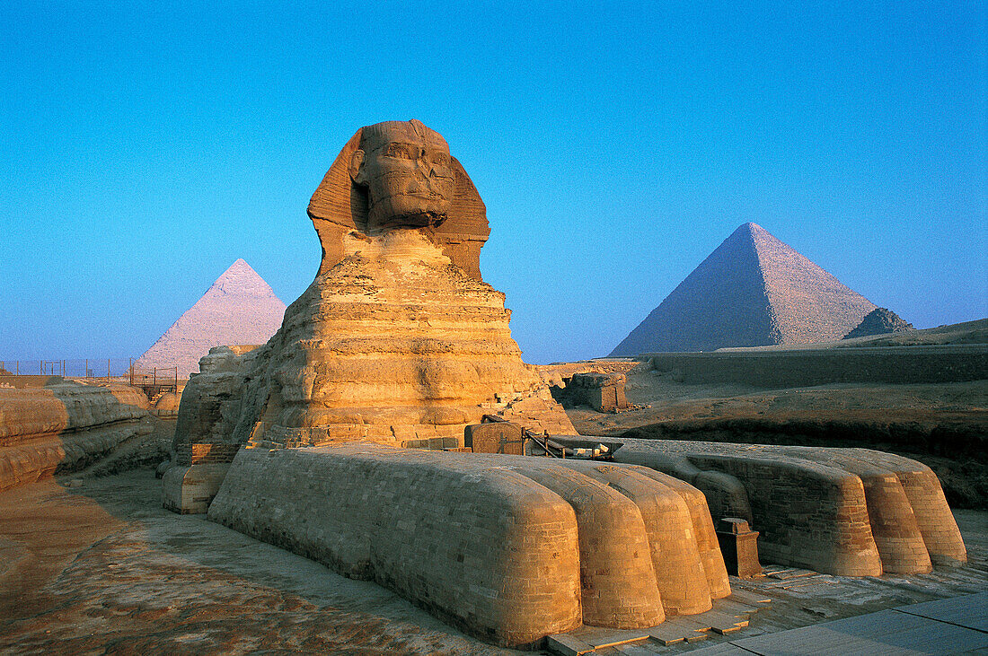 The Sphinx. Gizeh. Egypt