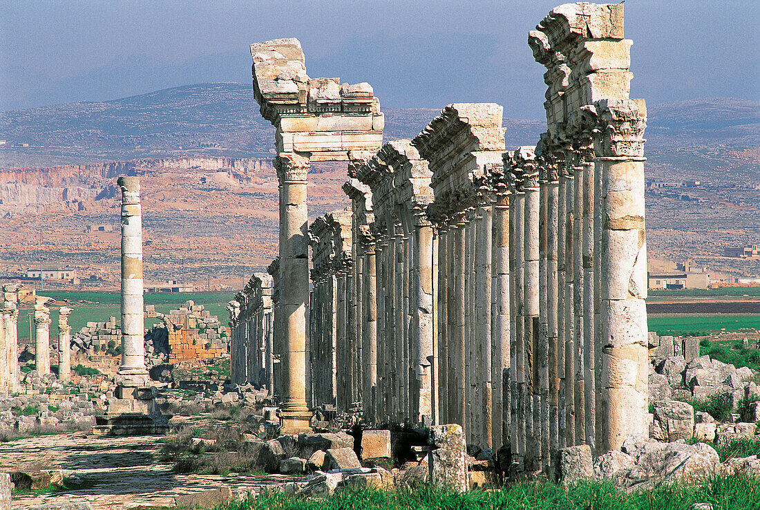 Corinthian columns. Roman city ruins. Apamee. Syria