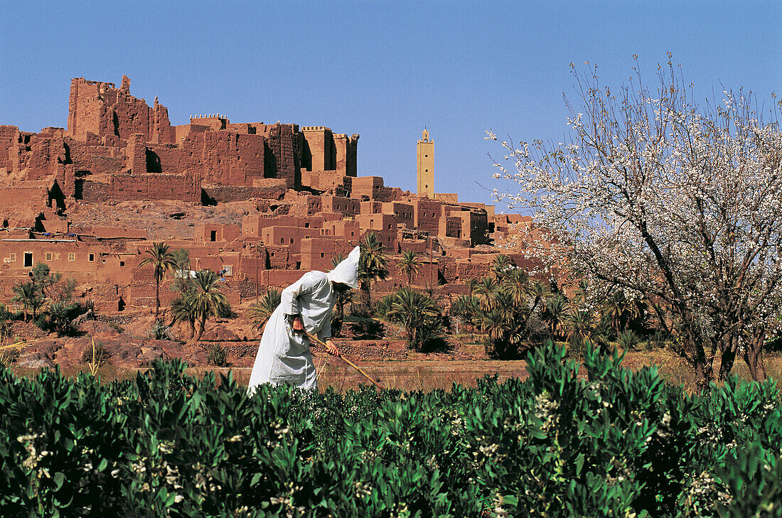 Kasbah of Tifoultout, Fellah (peasant) in foreground. Morocco