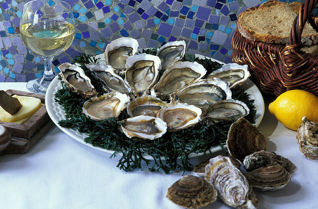 Cancale Oysters. France
