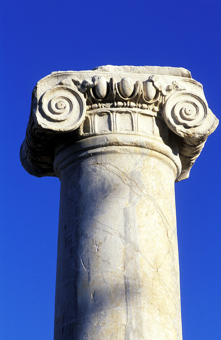 Ionic capital, ruins of old Paphos. Cyprus
