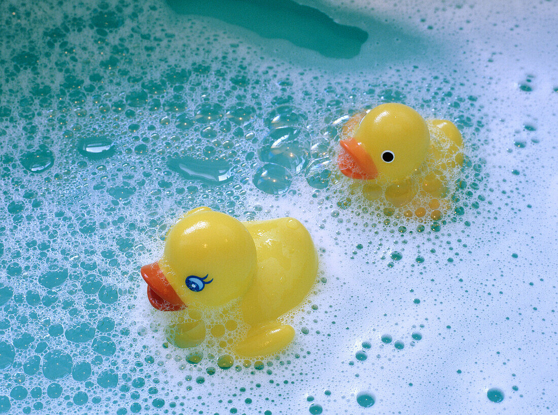  Bathtub, Bathtubs, Childhood, Color, Colour, Contemporary, Duck, Ducks, Float, Floating, Foam, Foamy, Froth, Horizontal, Hygiene, Infantile, Innocence, Innocent, Lather, Object, Objects, Pair, Rubber duck, Soap, Suds, Thing, Things, Two, Two items, Water