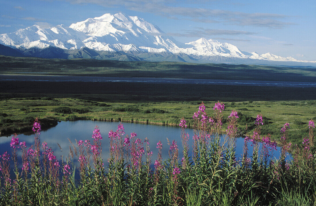 Mount McKinely. Denali National Park