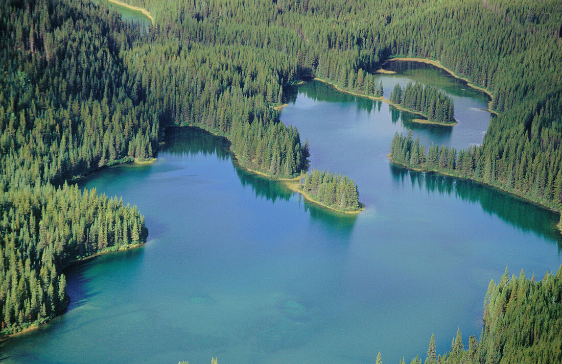 Small lake in the wilderness. West of Mackenzie. British Columbia. Canada