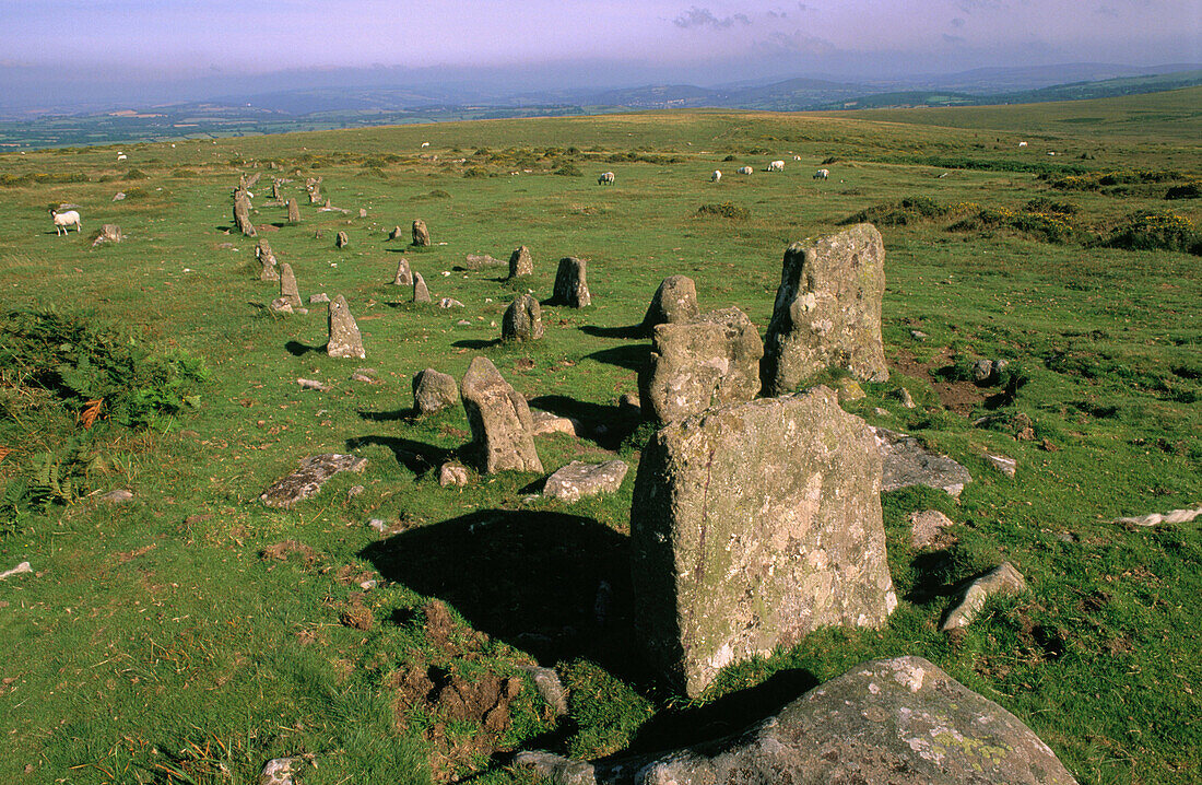 Triple stone row leading from grave site. Dartmoor. Devonshire. UK