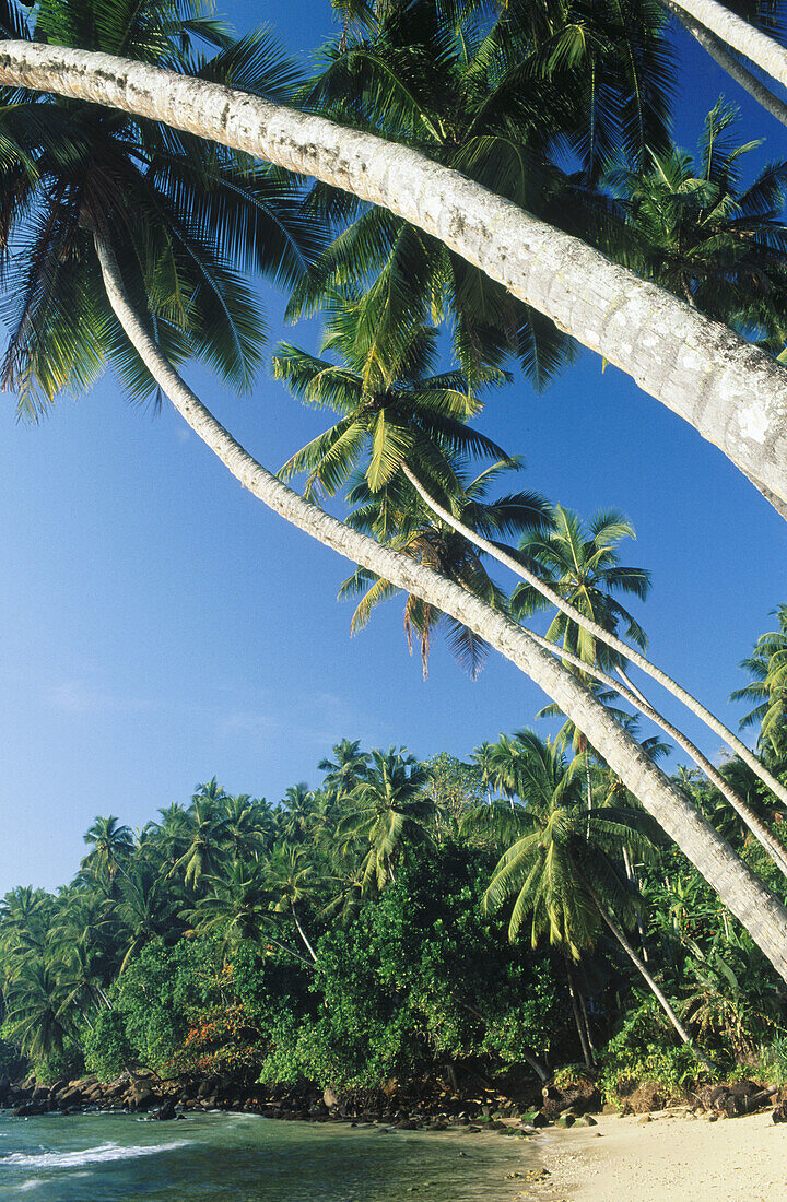 Beach. South West Sri Lanka