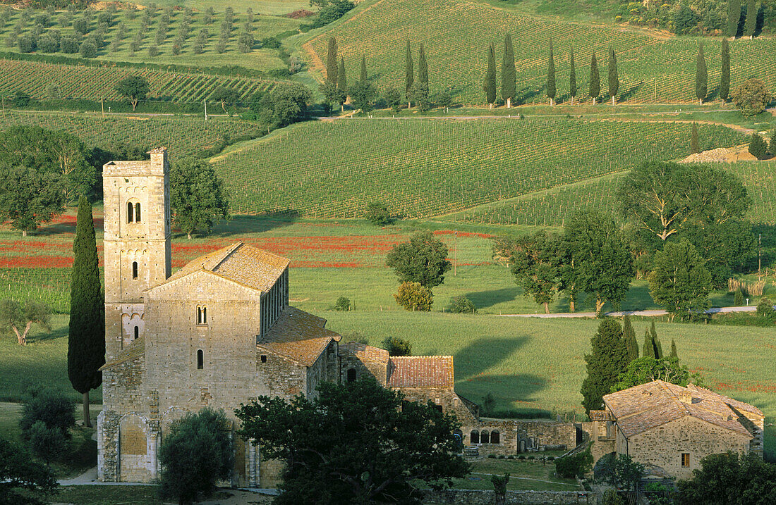 Abazzia di Sant Antimo. Montalcino. Tuscany. Italy