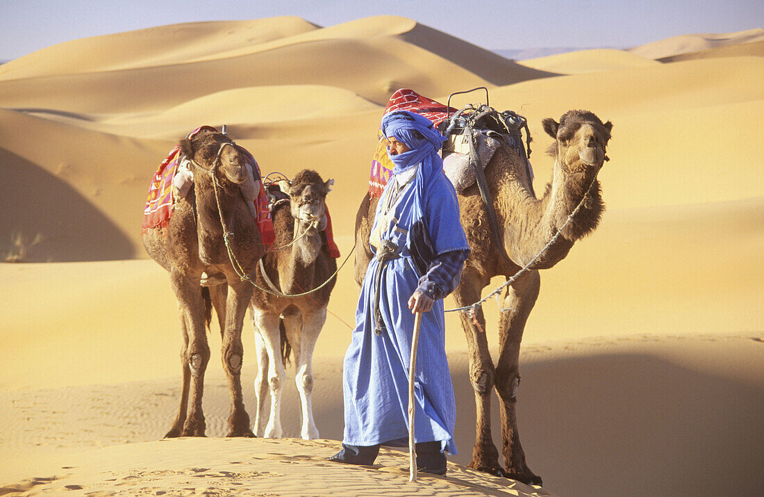 Tuareg with camels. Merzouga Dunes. Morocco