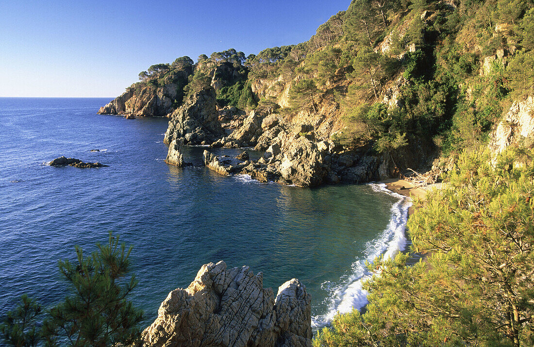 Cove in Calella de Palafrugell. Costa Brava. Catalonia, Spain