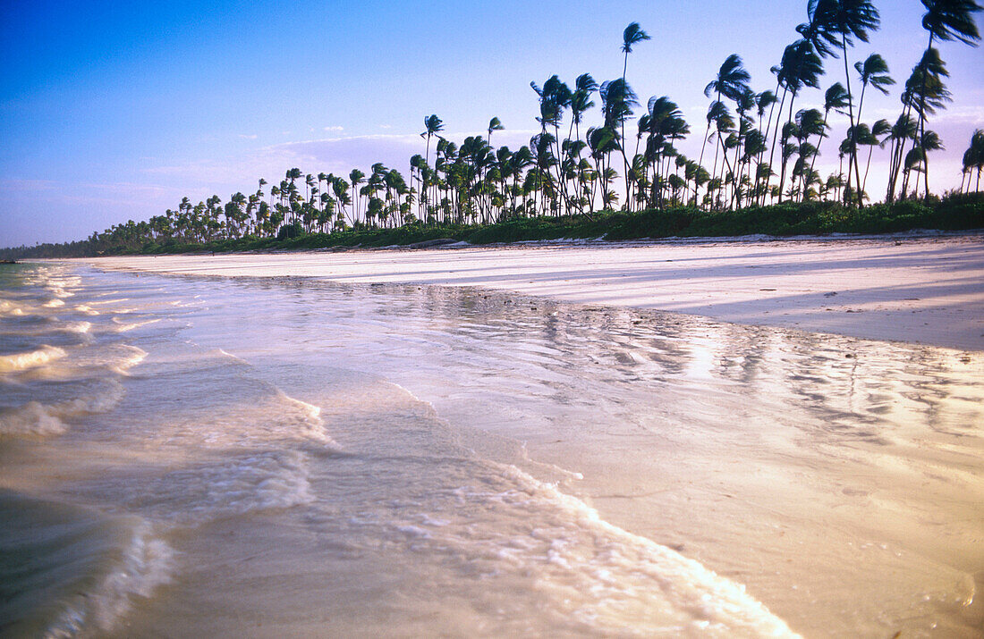 Beach in Zanzibar, Tanzania