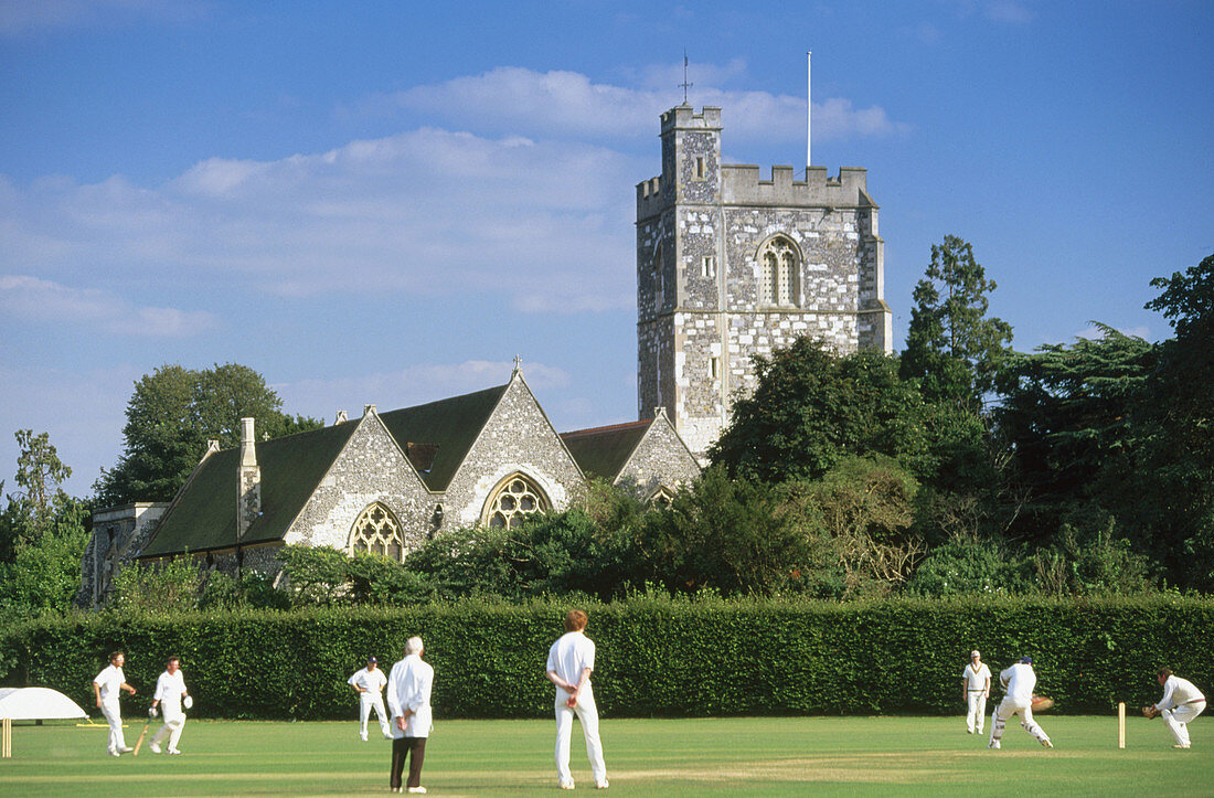 Cricket, Bray. Berkshire, England, UK