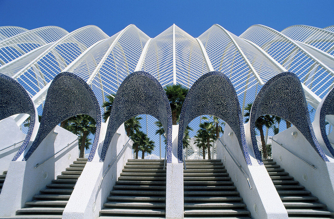 City of Arts and Sciences, by S. Calatrava. Valencia. Spain