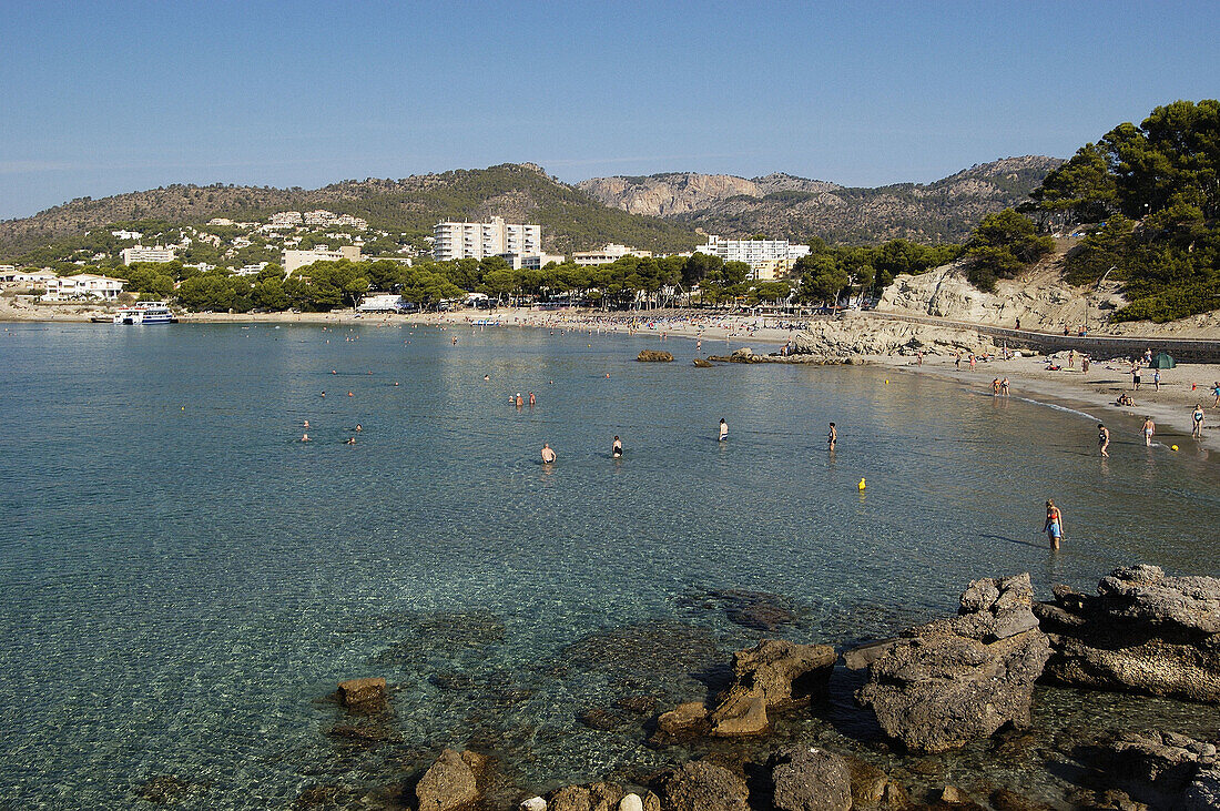 Peguera beaches, Calvià. Majorca, Balearic Islands. Spain